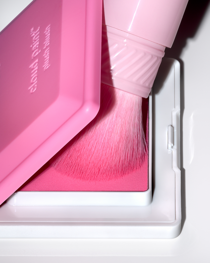 Plush Brush Duo