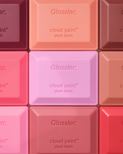 Cloud Paint Plush Blush