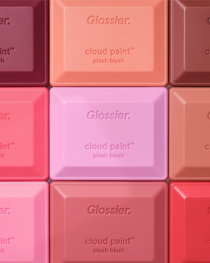 Cloud Paint Plush Blush
